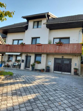 Apartment Katrin Žirovnica
